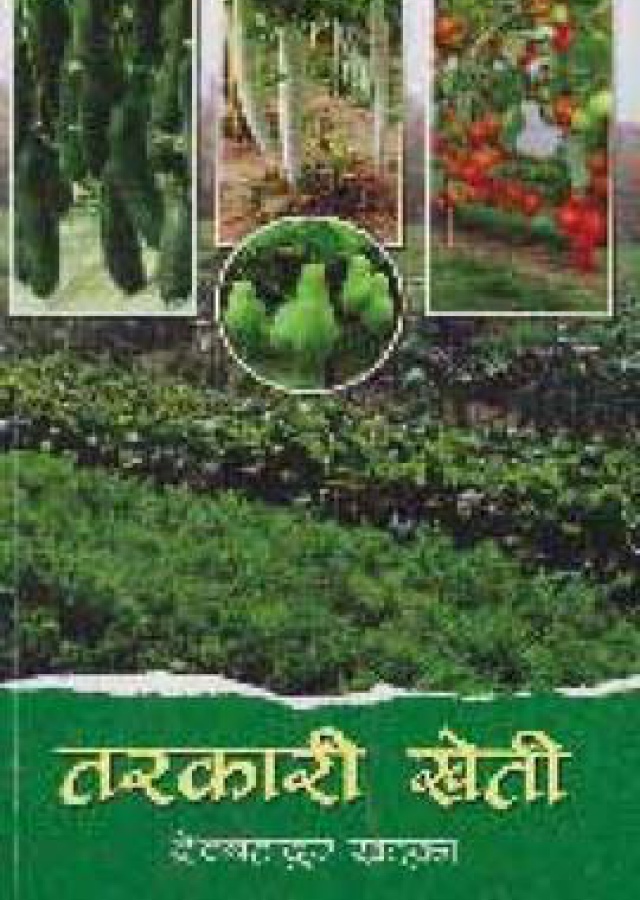 Tarakari Kheti  | तरकारी खेती